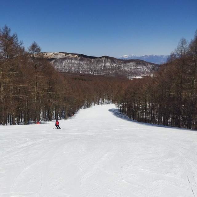 IMG_20250310_113715.jpg