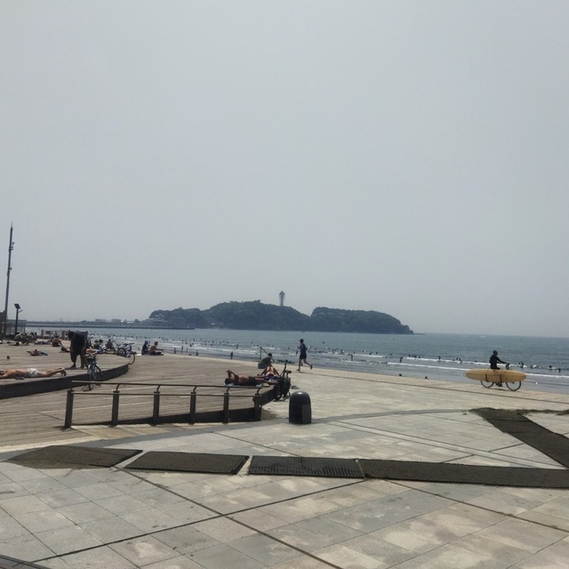 IMG_20250419_111755.jpg
